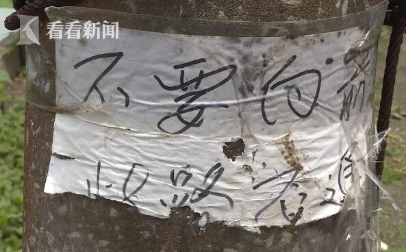 性操女人网