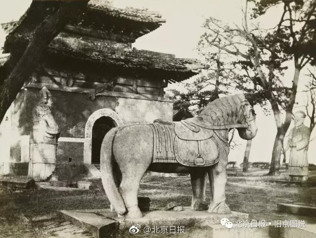 欧美乱淫