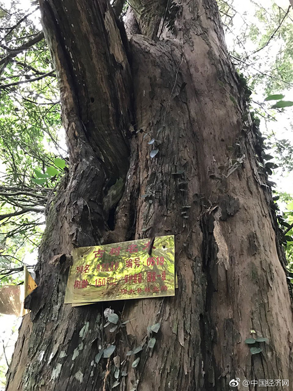 必看SSIS十大巅峰之作