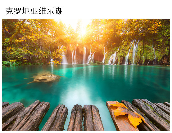 欧美大白屁股XXXOOO