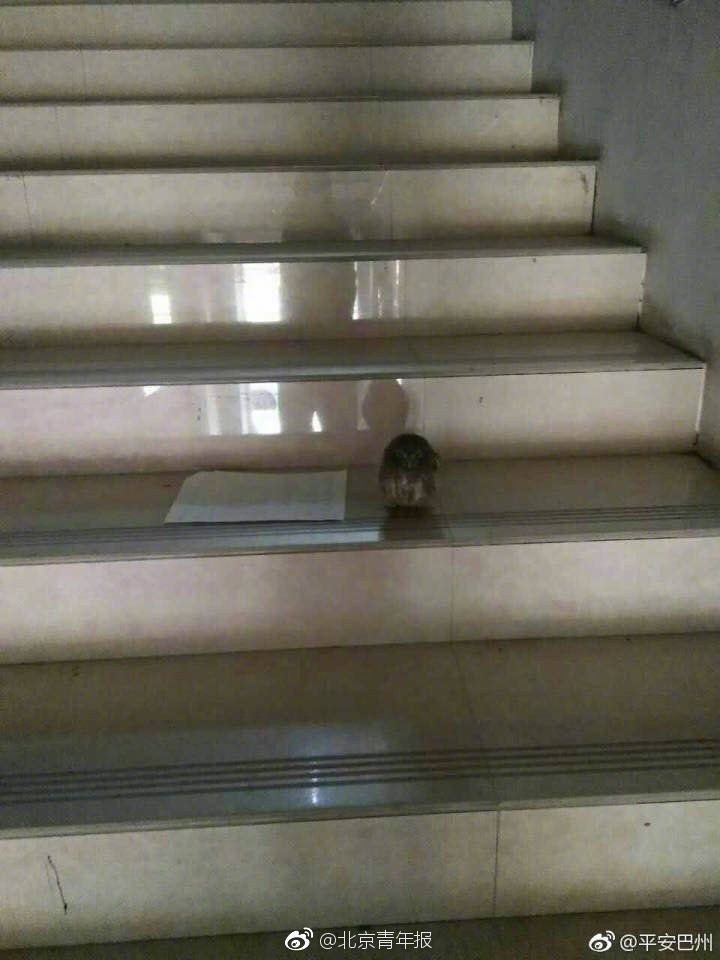 人人舔