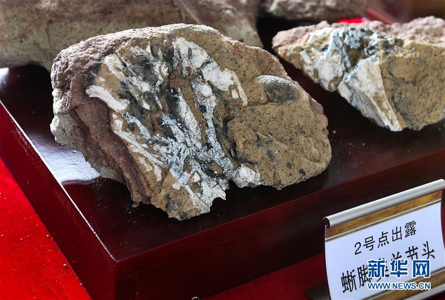 吊逼
