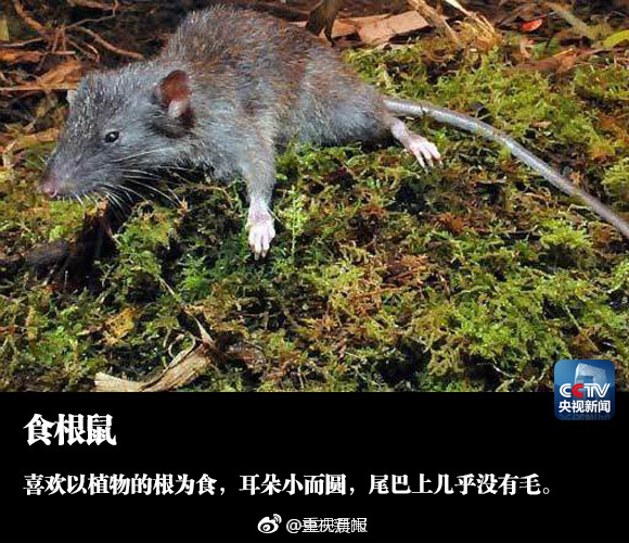 成人 色情 大全