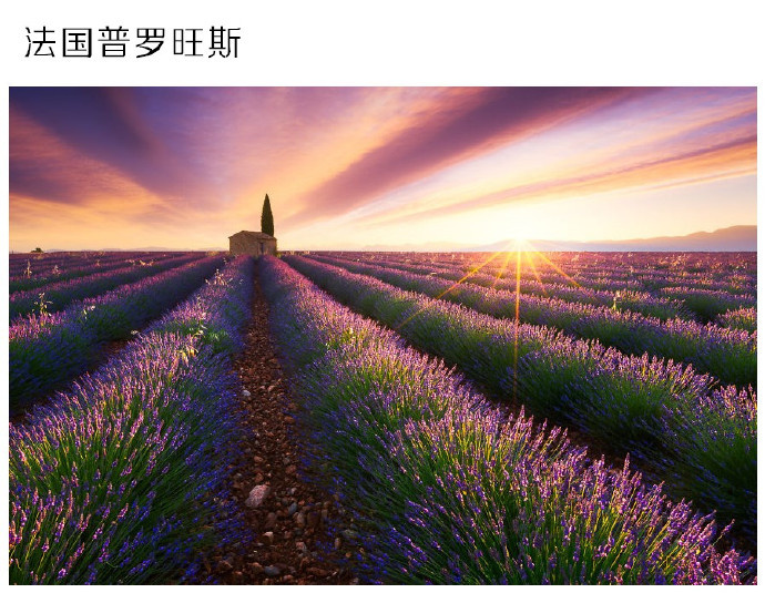 中国性老太Hd大全一中国性老