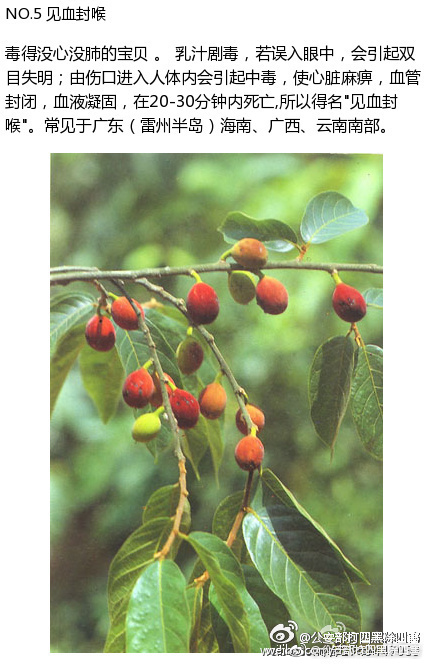 国产黄色免费网站