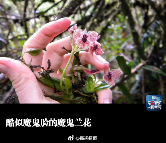 美上千里
