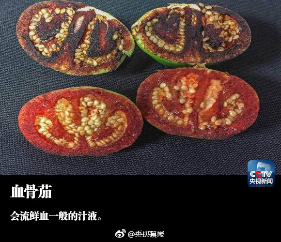 性高潮视屏