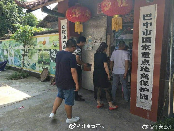 一区二区中文字幕