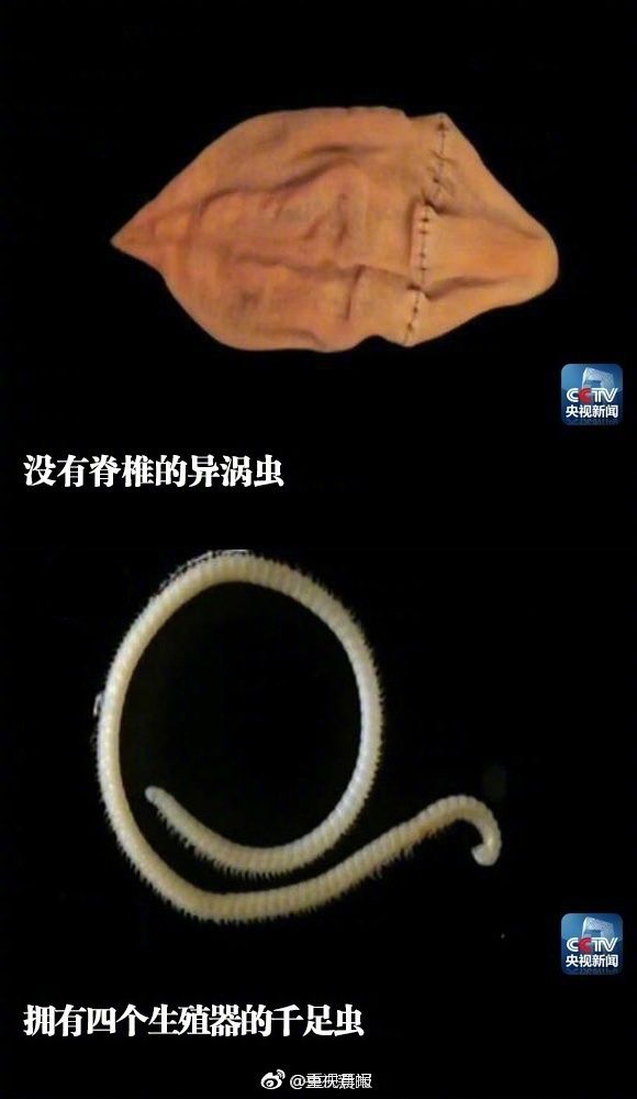 真人一级毛片
