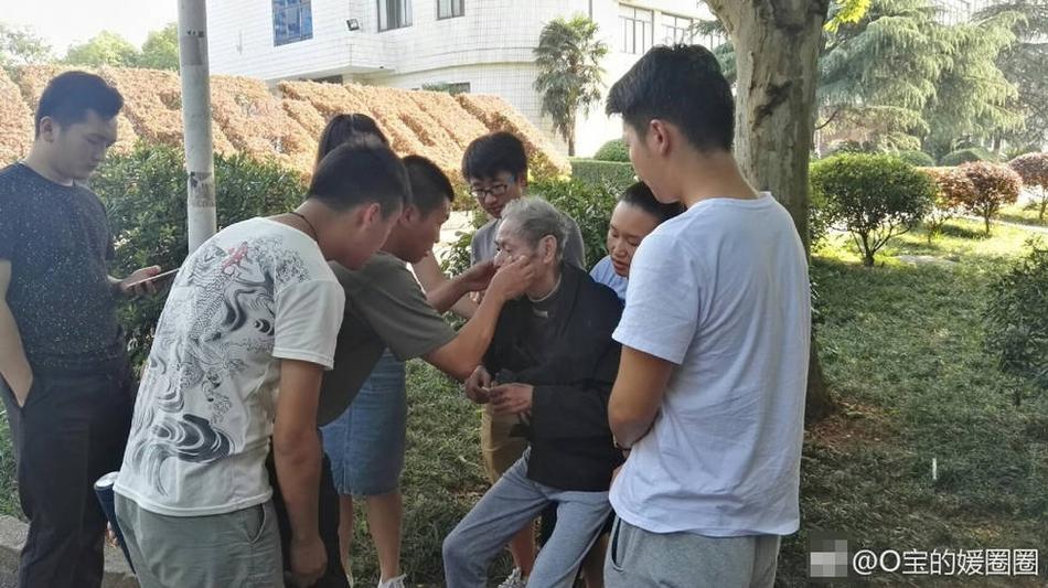 阿丽塔