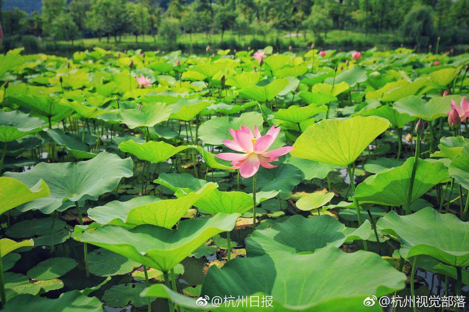 我和寂寞丰满的寡妇电影