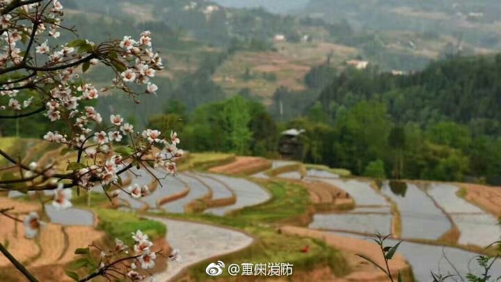 中文在线天堂中文在线调教美女