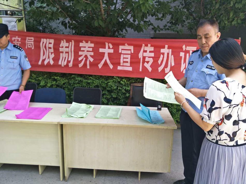 成人免费黄色网站下载
