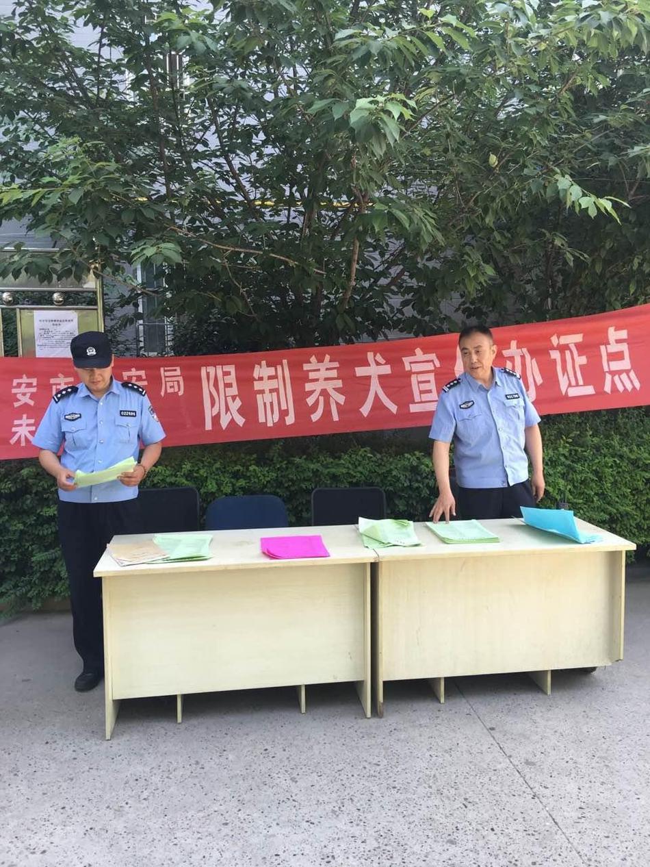 成人 Av 色情
