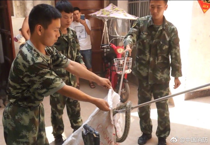 毛片黄色