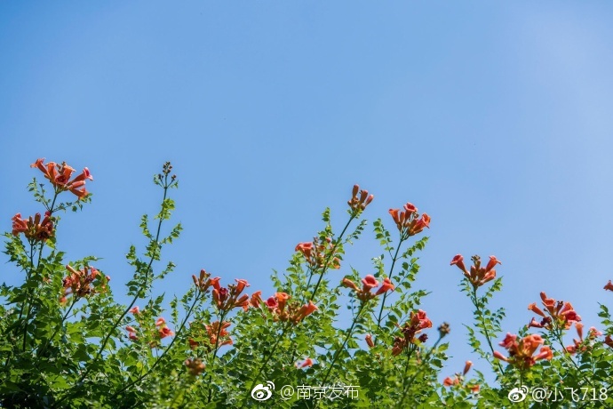中文字幕人成人乱码亚洲电影