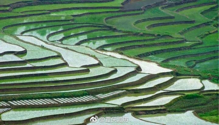 欧美Xxxx性受喷水