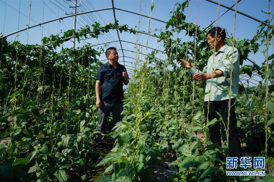 小龙虾每亩一年收入_蔬菜种植每亩收入(2)