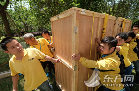 熟妇内射色情片