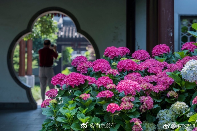 精品无人区一区二区三区的特点