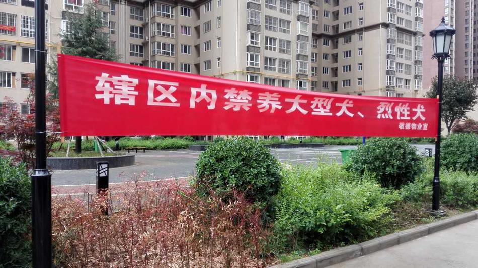 张柏芝两手扒开双腿图片大全
