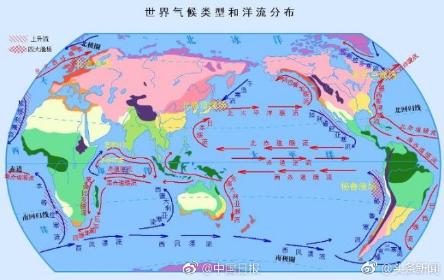 亚洲激情黄网