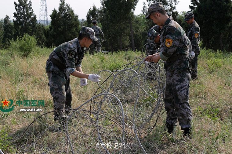 一级做a