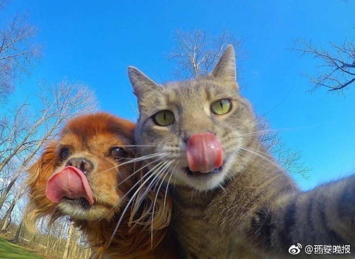 影音先锋一区