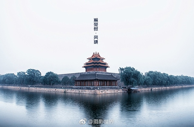 星球 大战 成人 版
