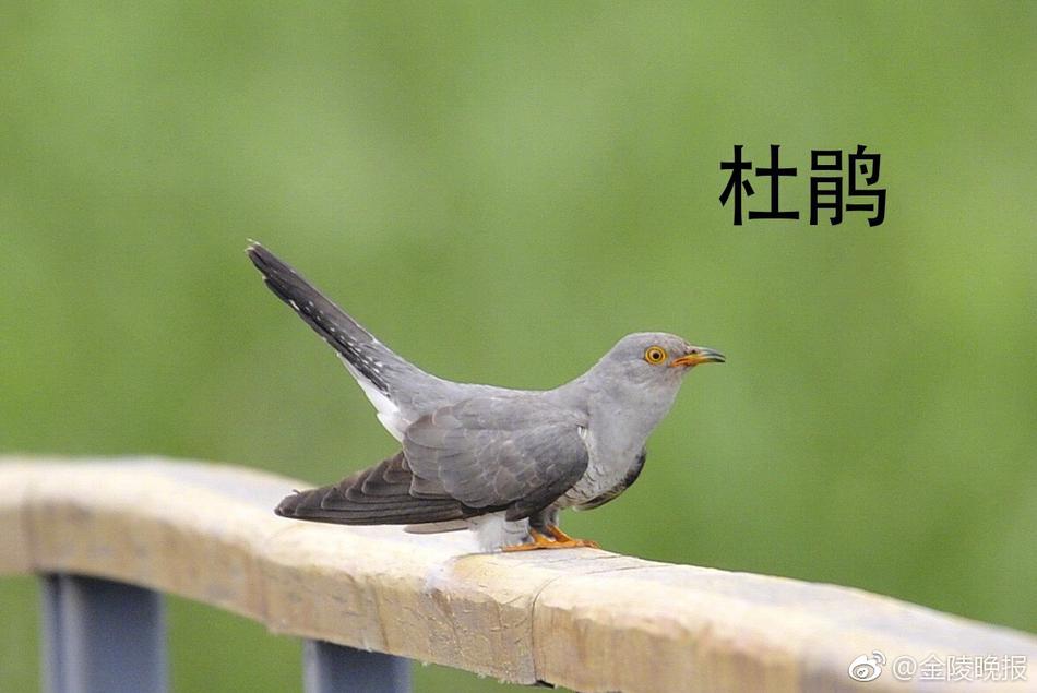 色老太老太色HD