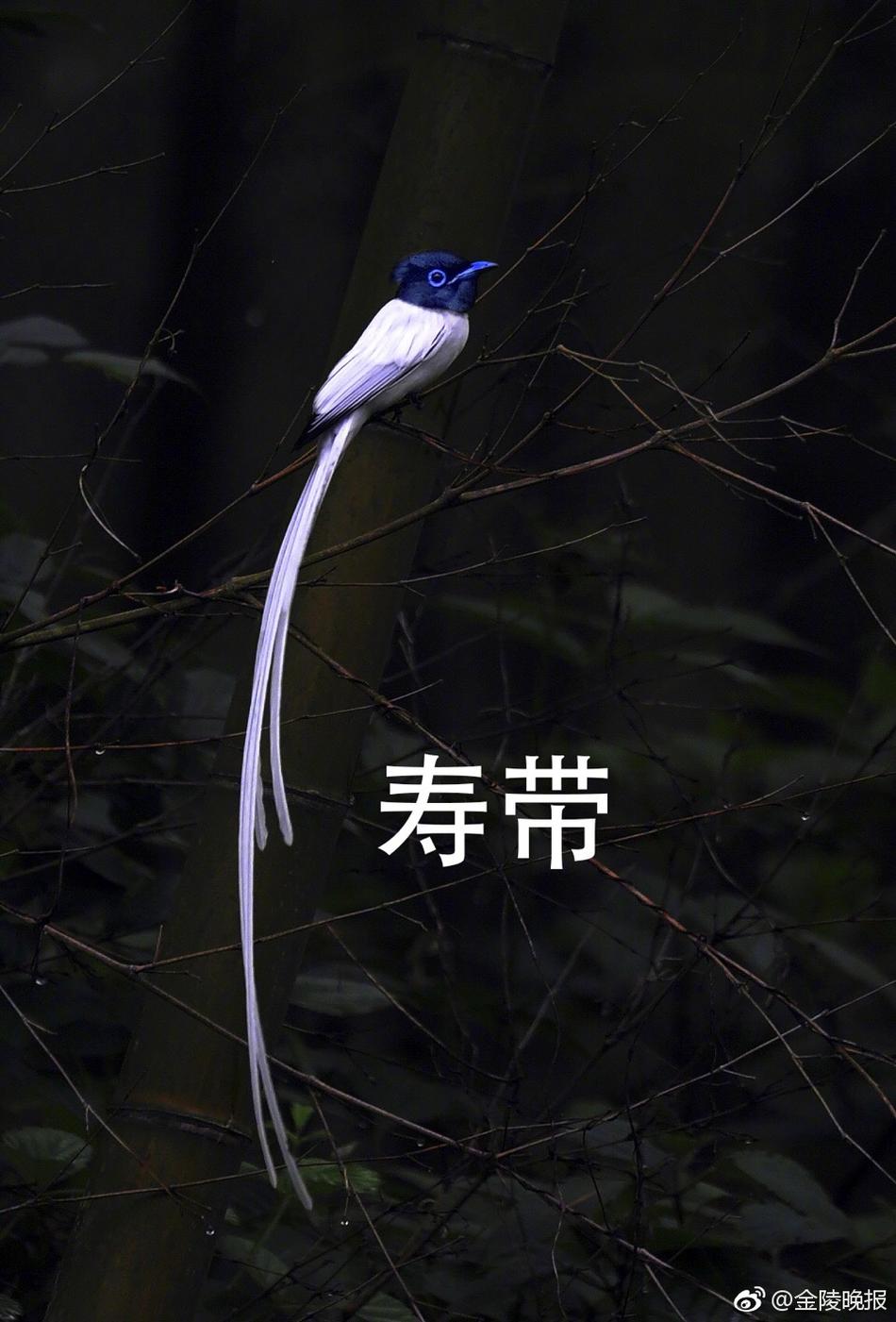 成人 电影 网上 看