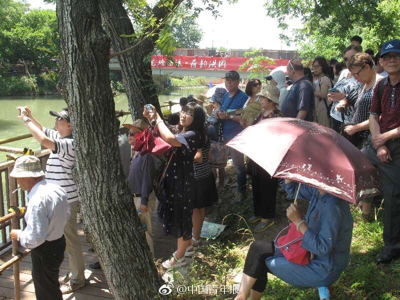 被两个黑人干