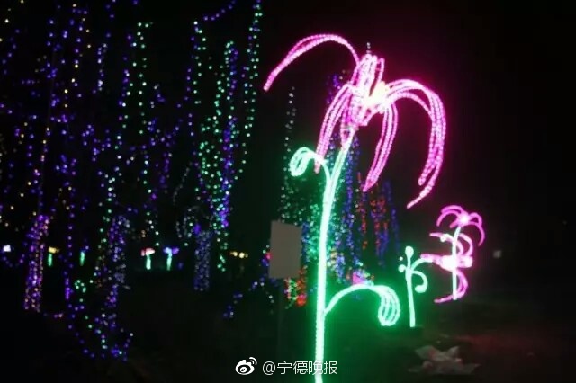 香蕉久久久