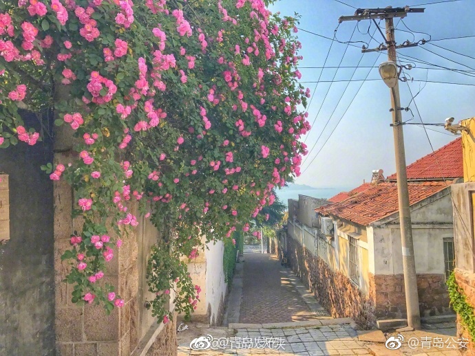 18禁免费