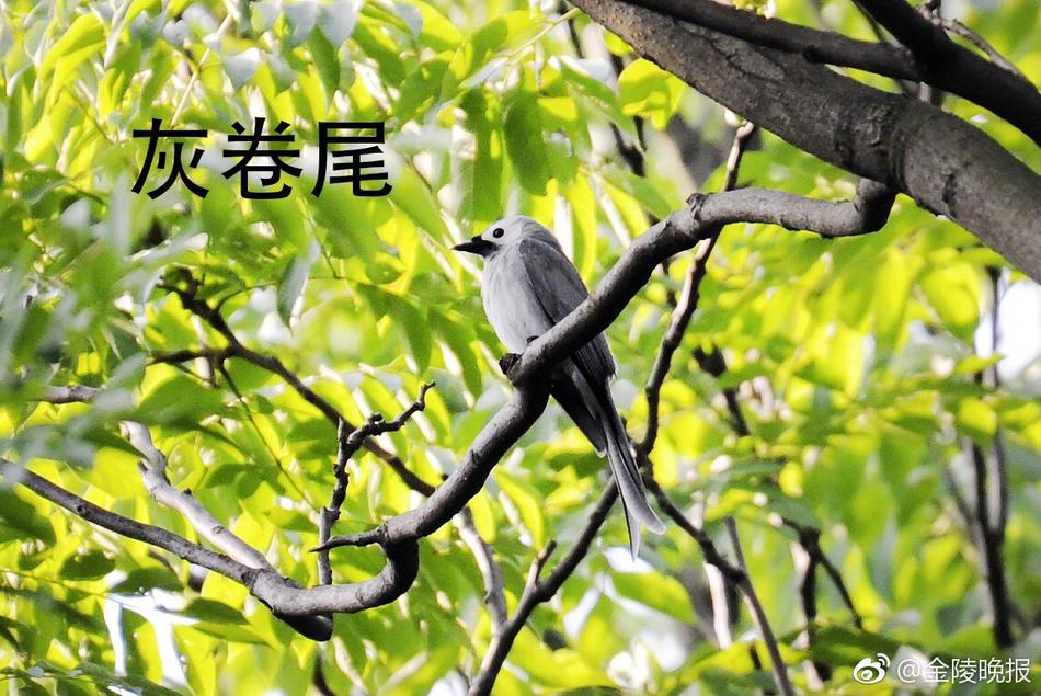 美女裸体视频免费
