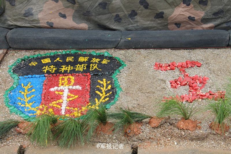 李丽珍所拍三级片
