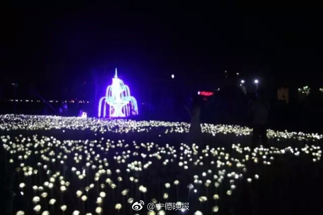 欧美精品Xxxx视频