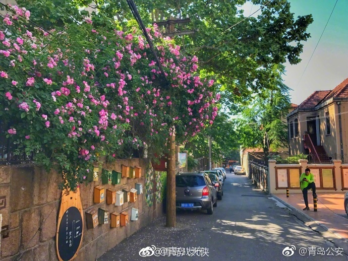 波多野结衣在线无码Av观看