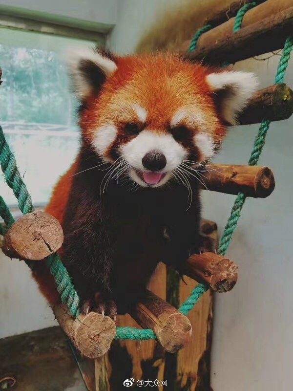 媽媽性教育