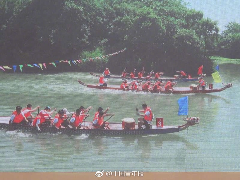 官方黄色网站