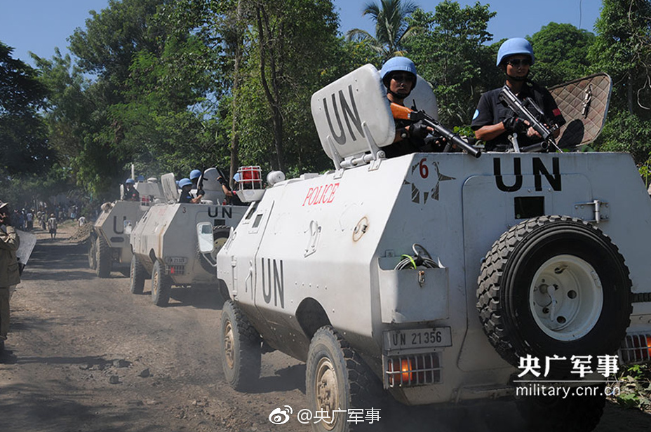 美国一级A级黄免