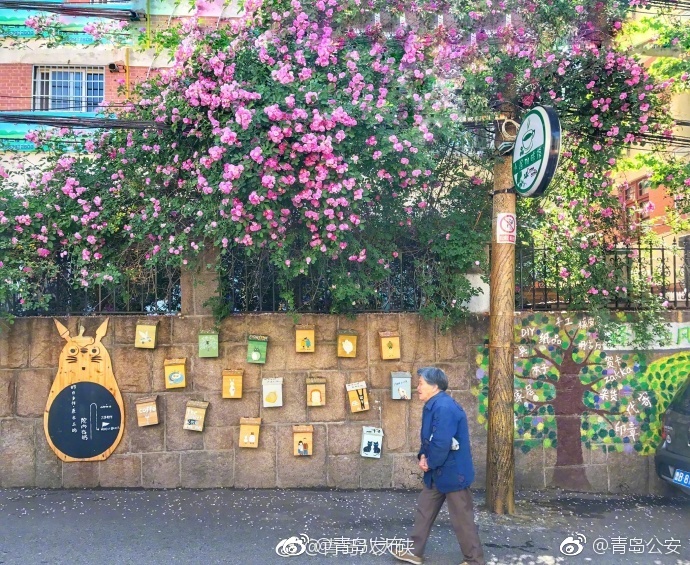 国产免费黄色