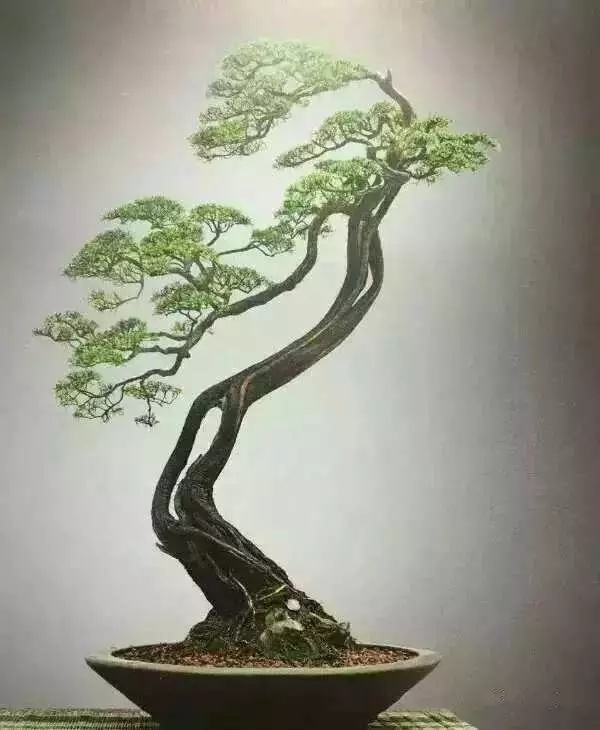 星空无限传媒 官网
