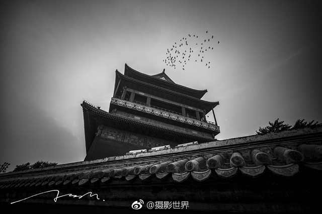 二级黄色片