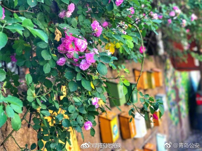 Av自拍偷拍美女作爱