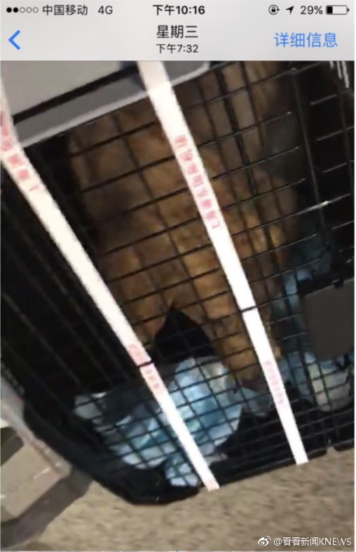 偷拍操B视频