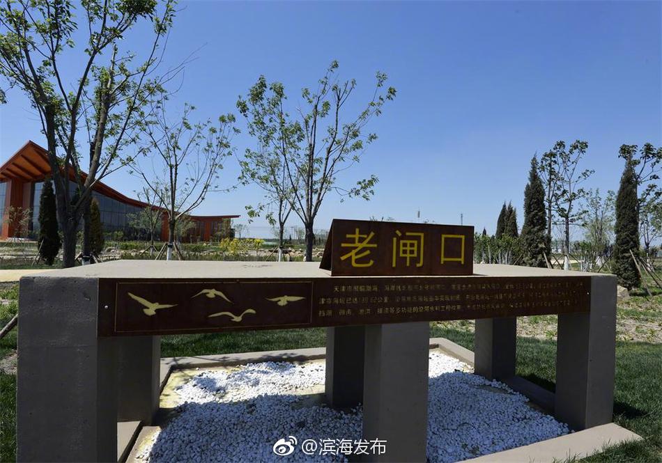 又黄又爽的网站