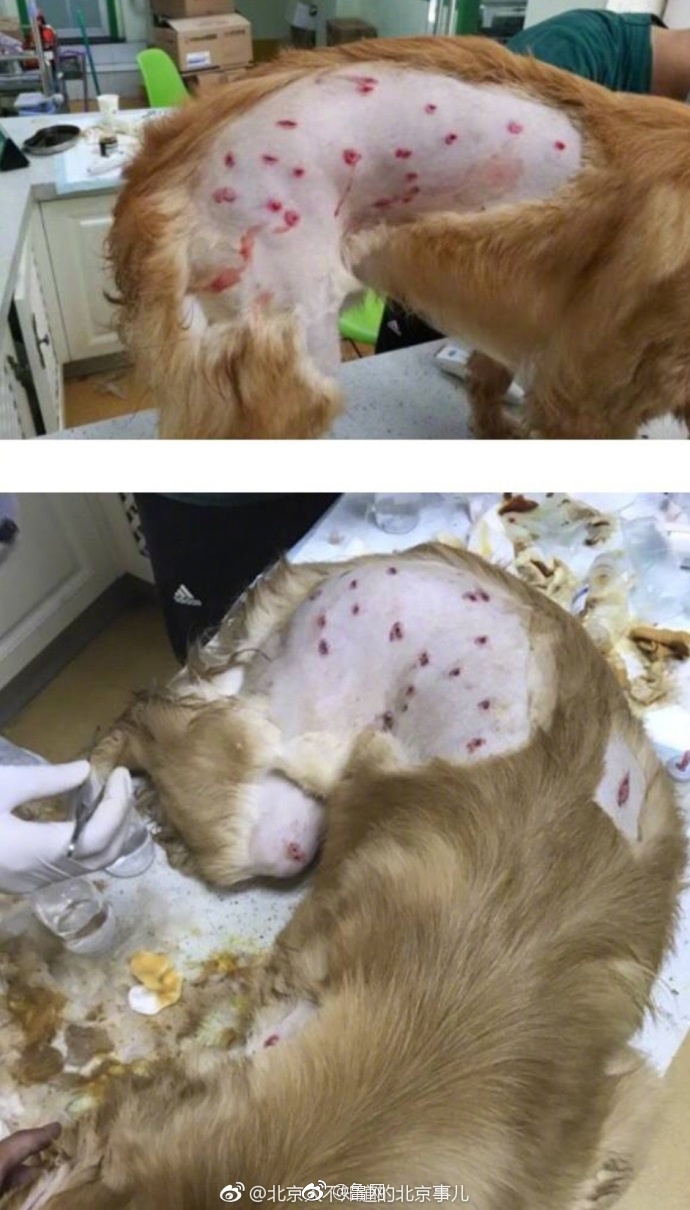 小受公车忘穿内裤被挺进小说