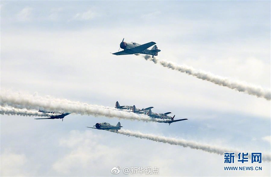 www.污污污