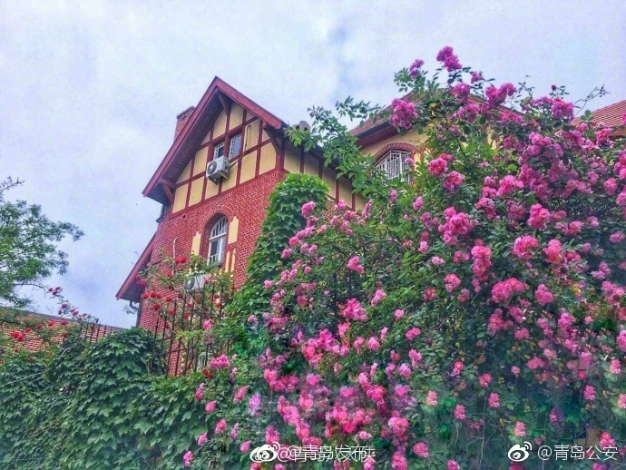 美女被扒 玩奶头
